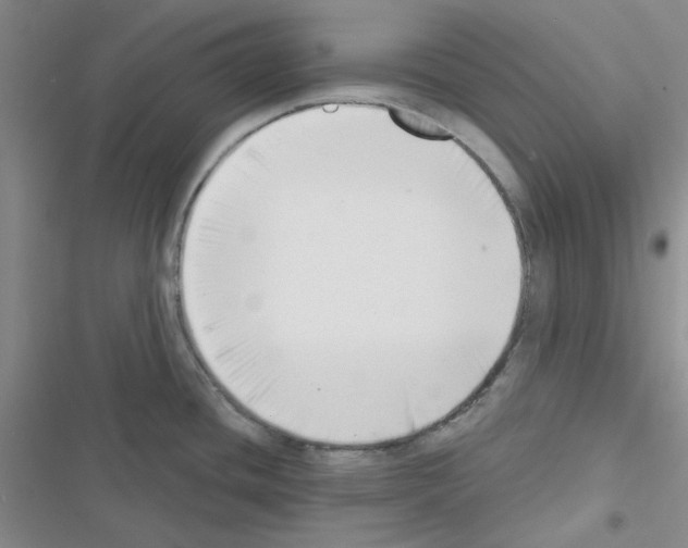 X0000116551436201001211152