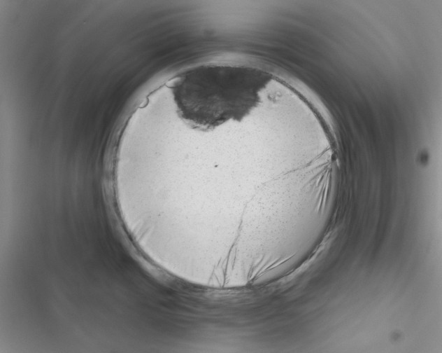 X0000116551437201001211152