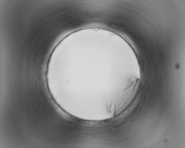 X0000116551438201001211152