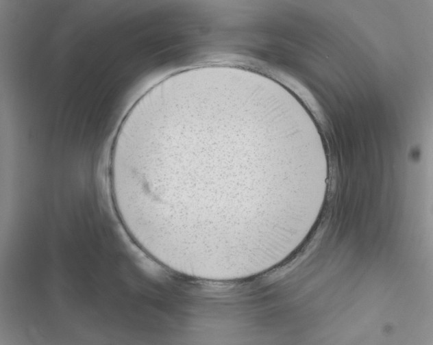 X0000116551439201001211152