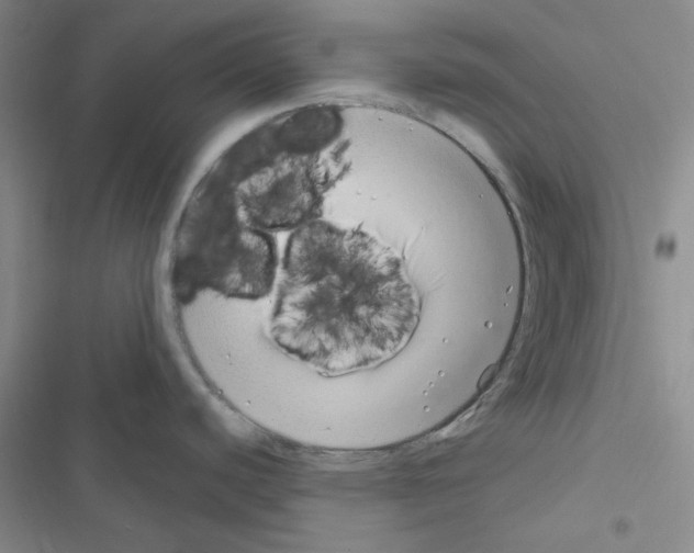 X0000116551440201001211152