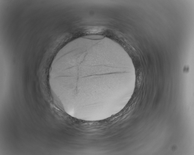 X0000116551441201001211152