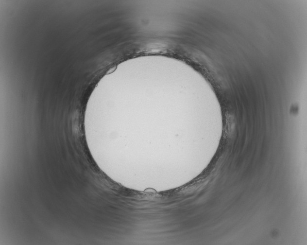 X0000116551442201001211152