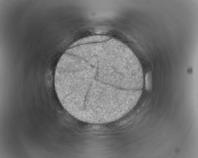 X0000116551443201001211152