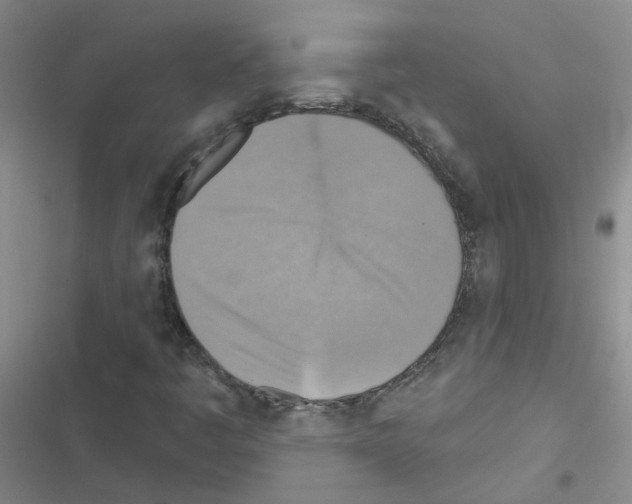 X0000116551445201001211152