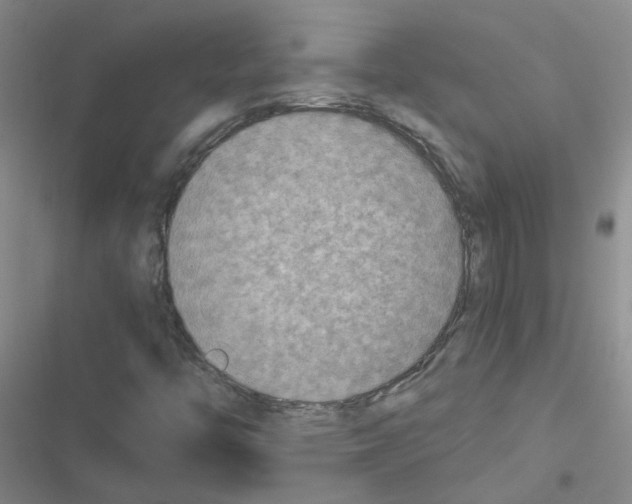 X0000116551446201001211152