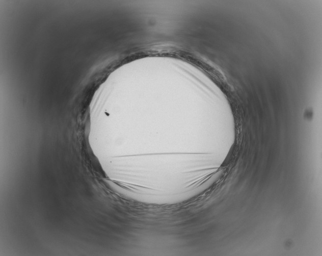 X0000116551447201001211152