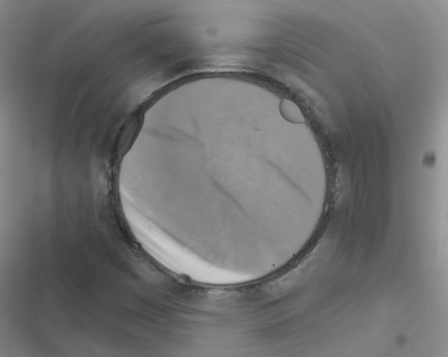 X0000116551449201001211152