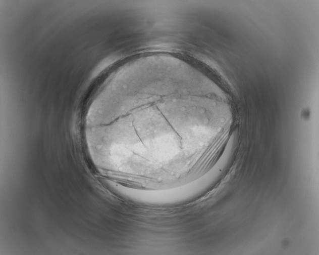 X0000116551450201001211152