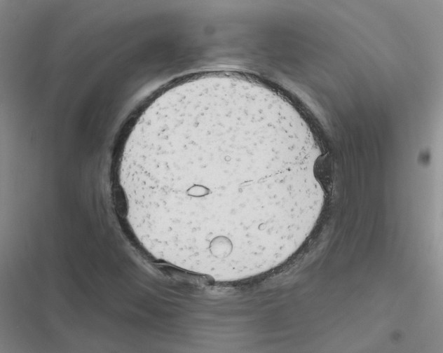 X0000116551452201001211152