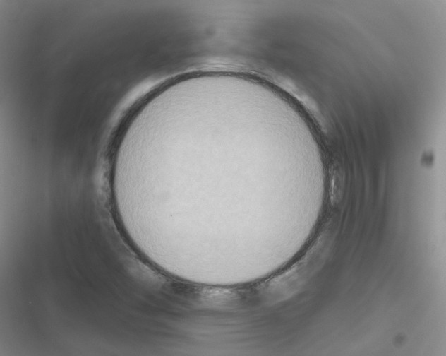 X0000116551454201001211152