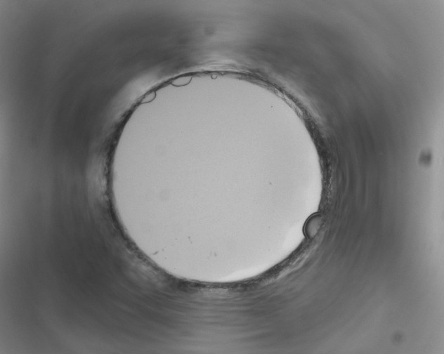 X0000116551455201001211152