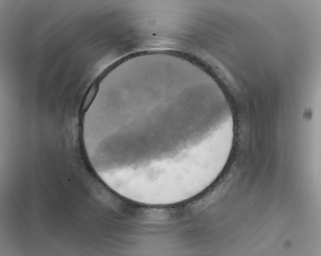 X0000116551457201001211152