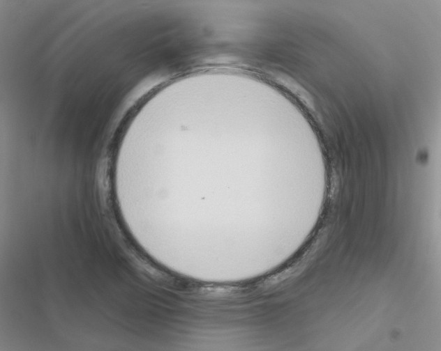 X0000116551458201001211152