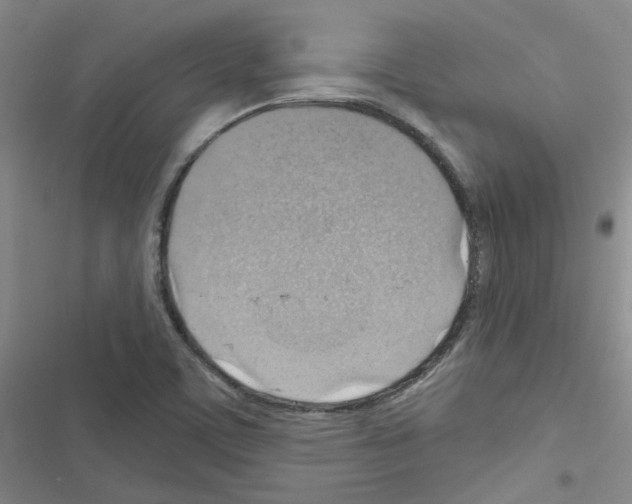 X0000116551459201001211151