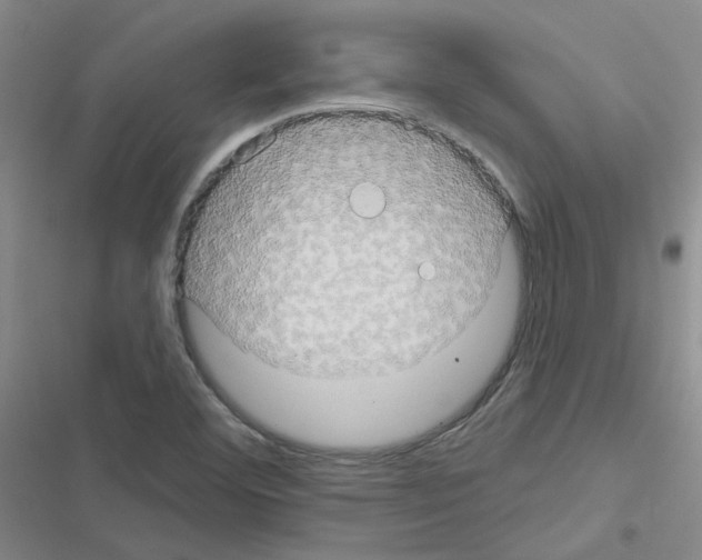 X0000116551460201001211151