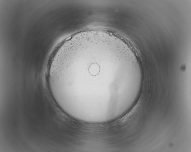 X0000116551461201001211151