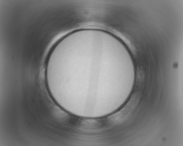 X0000116551462201001211151