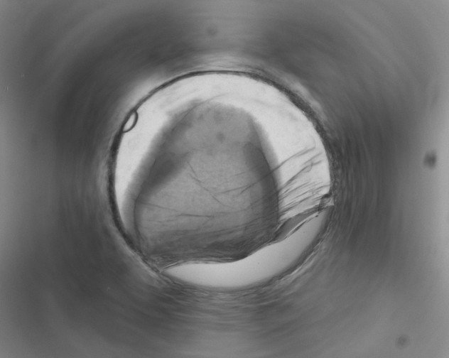 X0000116551463201001211151