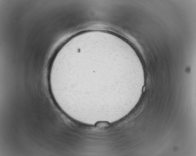 X0000116551464201001211151