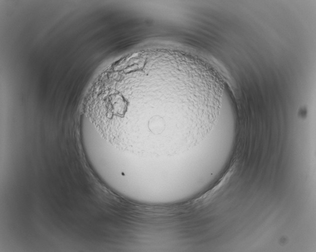 X0000116551465201001211151