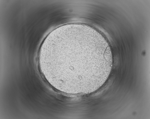 X0000116551467201001211151