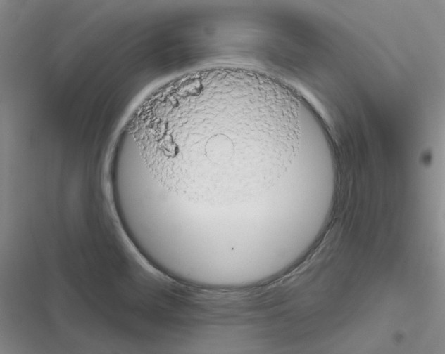 X0000116551468201001211151