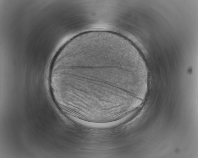 X0000116551469201001211151