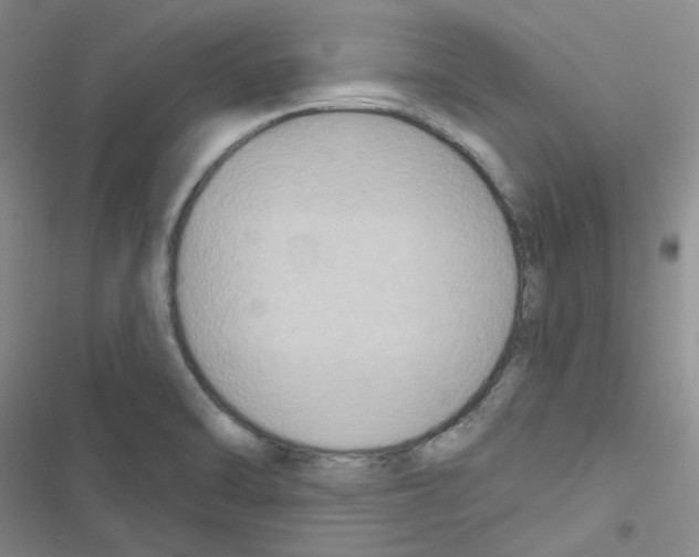 X0000116551470201001211151