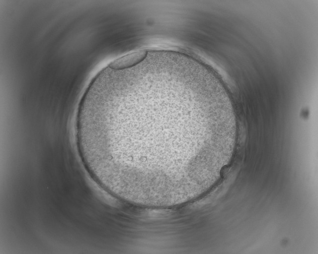 X0000116551471201001211151