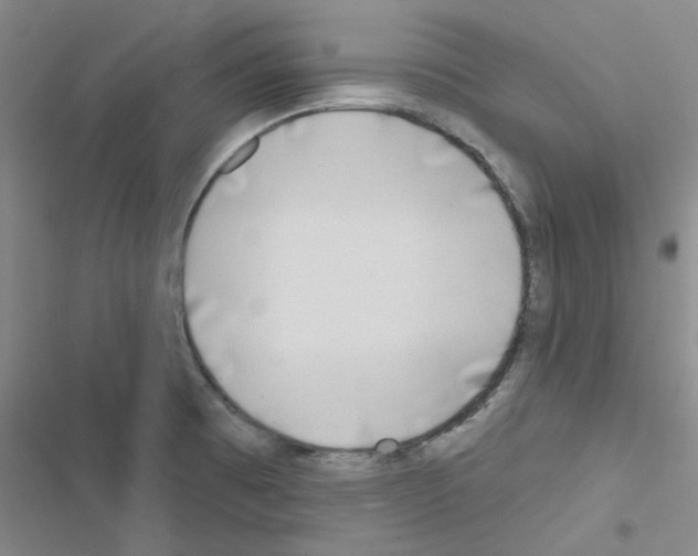 X0000116551473201001211151