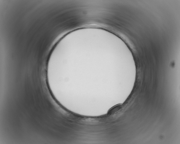 X0000116551476201001211151