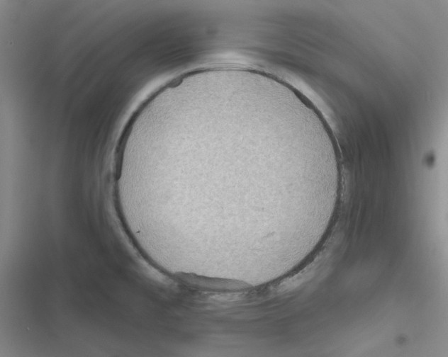 X0000116551477201001211151