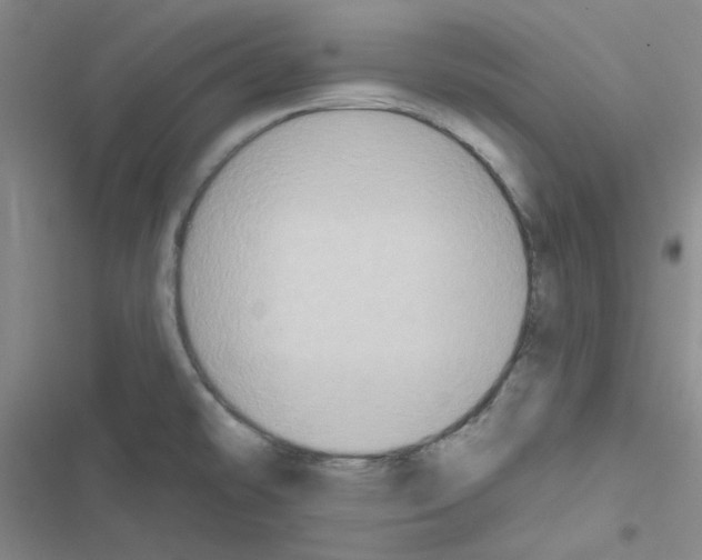 X0000116551478201001211151