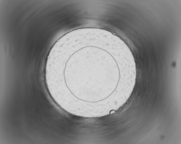 X0000116551479201001211151