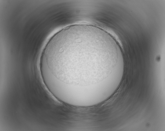 X0000116551480201001211151