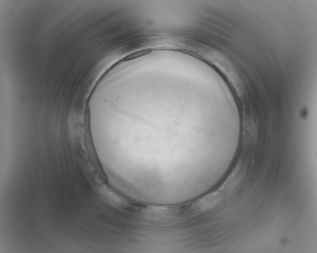 X0000116551481201001211151