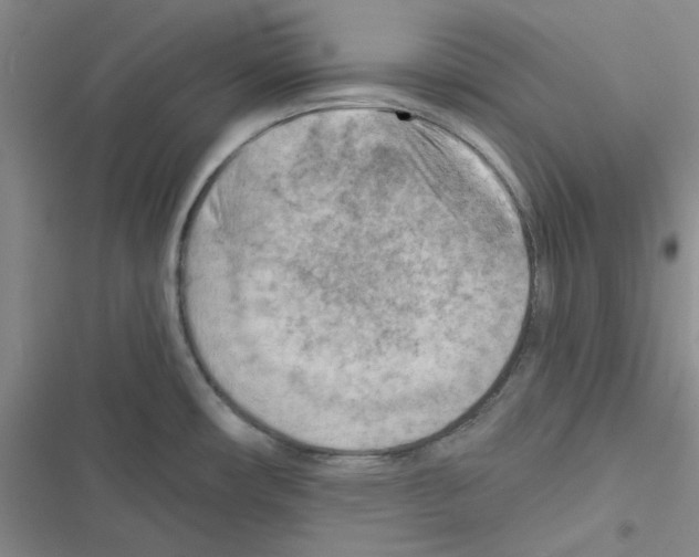 X0000116551482201001211151