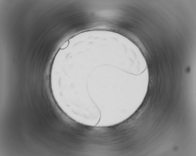 X0000116551483201001211151