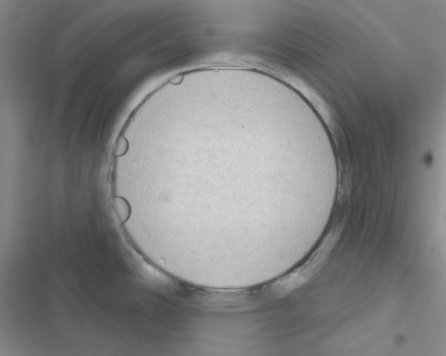 X0000116551486201001211151