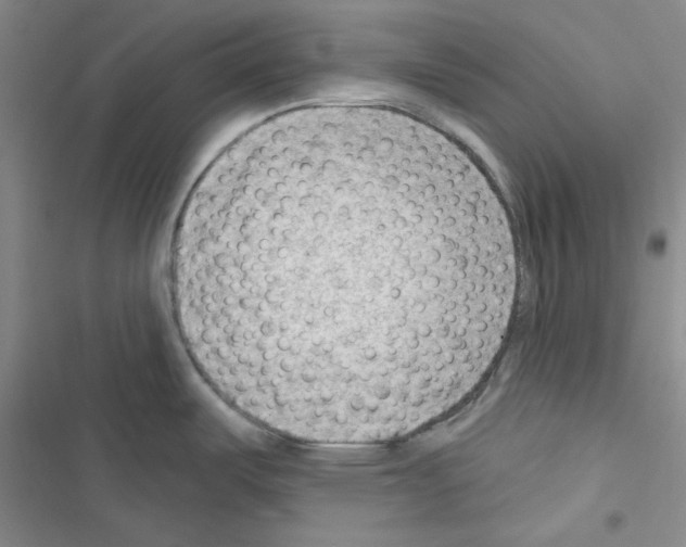 X0000116551487201001211151