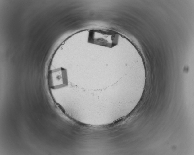 X0000116551488201001211151