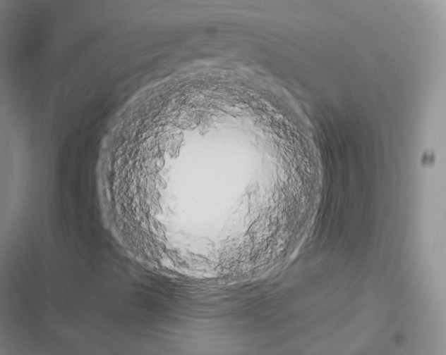 X0000116551489201001211150