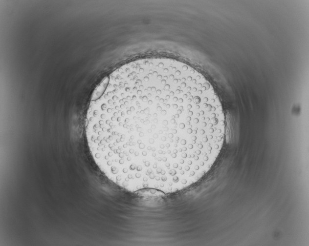 X0000116551491201001211150