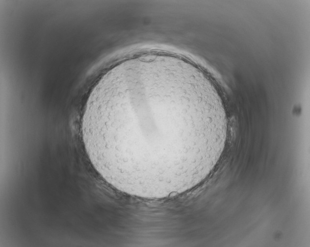 X0000116551495201001211151