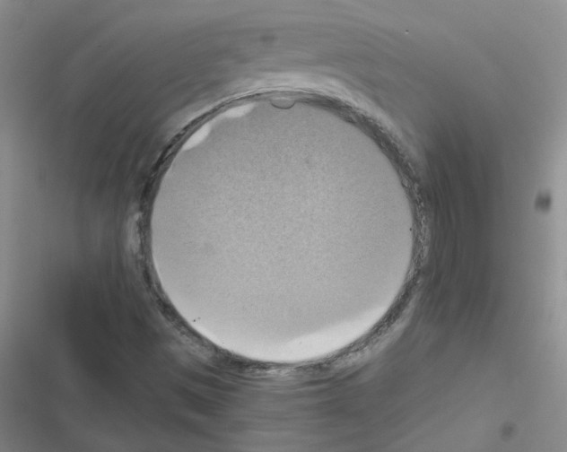 X0000116551497201001211151