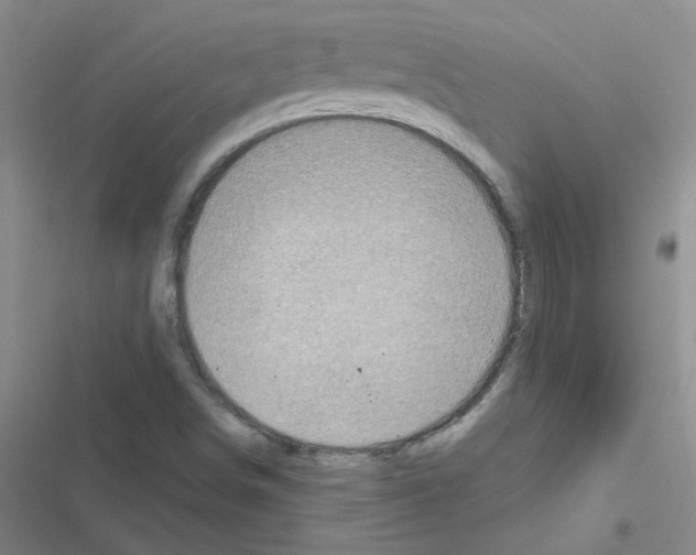 X0000116551498201001211151