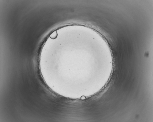 X0000116551502201001211151