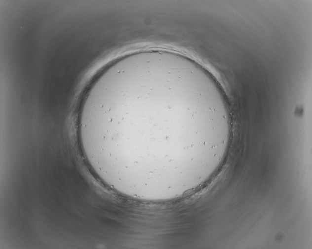 X0000116551503201001211151