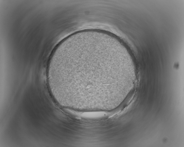 X0000116551505201001211151